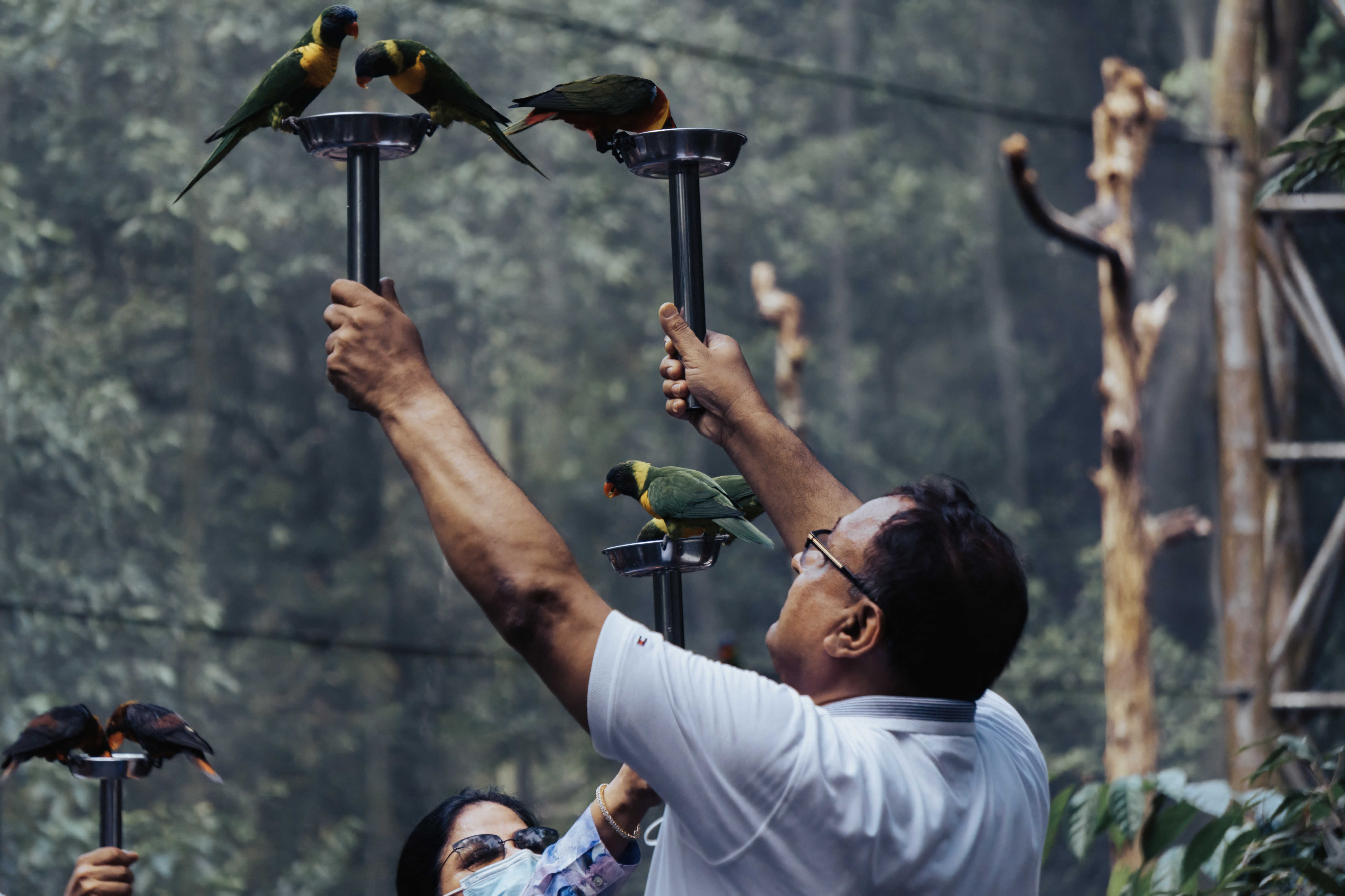 Wildlife photography